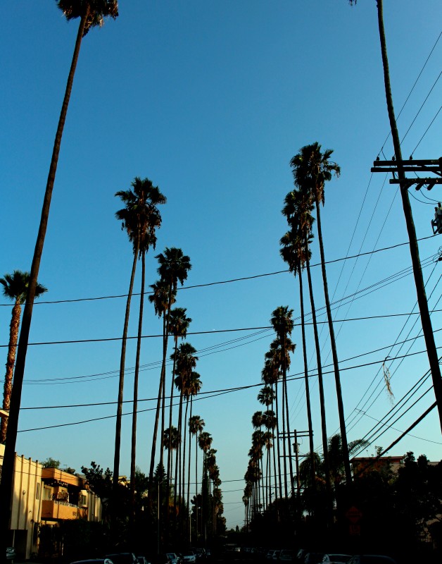 LA Living with Pink Neon Lips