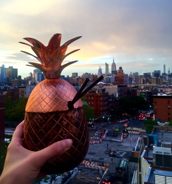 10 NYC Rooftop Bars You Need To Know About