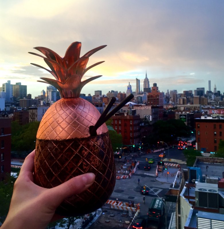 10 NYC Rooftop Bars You Need To Know About PINK NEON LIPS