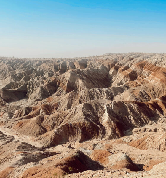 Anza Borrego: A Little Known Desert Gem in California